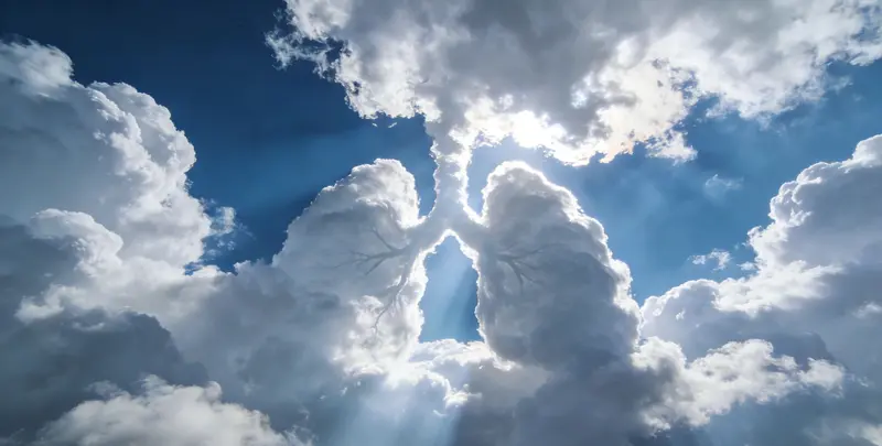 恩施肺癌12基因ctDNA突变检测(血液）图片1