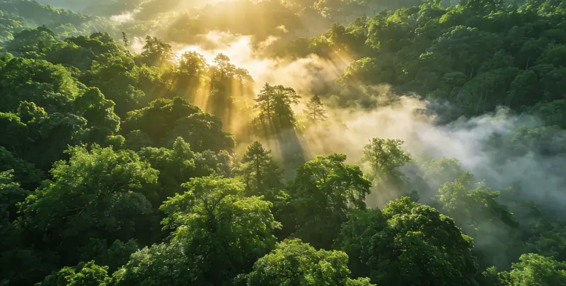 恩施肺癌68基因检测图片1