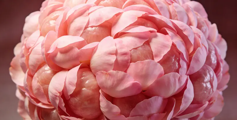 恩施BRCA1/2乳腺癌卵巢癌基因检测图片1